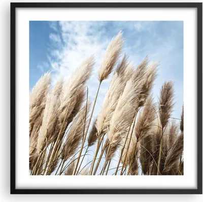 Produktbild von Gerahmtes Poster - Schwarzer Rahmen - Stock Himmel Boho - 50x50 cm - Wand Bild - Wanddeko - Wandbilder - Kunstposter - Wandposter - Bilderrahmen - Bilder - Kunstdruck - P2BAC50x50-4426