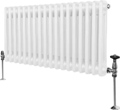 Immagine prodotto di Radiatore tradizionale a 2 colonne - 300 x 832 mm - Bianco