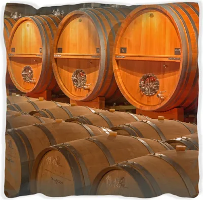 Produktbild von Wallario Premium Kissen, weiche Oberfläche, mit Motiv Weinkeller mit alten Holzfässern, Größe: 30 x 30 cm, mit weißer Rückseite