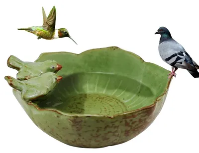 Immagine prodotto di Distributore di cibo per uccelli e vasca per uccelli in Vetroceramica, verde, 16x16x8 cm, design retrò