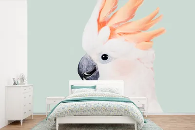 Produktbild von MuchoWow® Fototapete für Wohnzimmer oder Schlafzimmer Wandtapete Vinyl Motivtapete Kakadu - Tiere - Natur - Weiß - 600x400 cm - Vinyltapeten