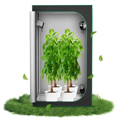 Produktbild von XINZI Growzelt 120 x 120 x 200 cm Gewächshaus, Indoor Growroom Growschrank Darkroom mit Beobachtungsfenster, Pflanzenzelt Gewächshaus Zuchtzelt