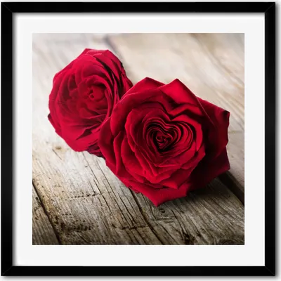 Produktbild von Bild - 50 cm x 50 cm - MDF - Rahmen, Wandkunst - Rosen auf Holz
