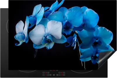 Produktbild von KitchenYeah© Herdabdeckplatte Blaue Orchidee vor schwarzem Hintergrund , 80x52cm, Küche Deko, Glaskeramikkochfeld Herdabdeckung, Abdeckplatte fùr Kochfeld