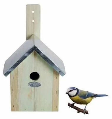 Image de Esschert Design Nichoir Mésange bleue ; NKP