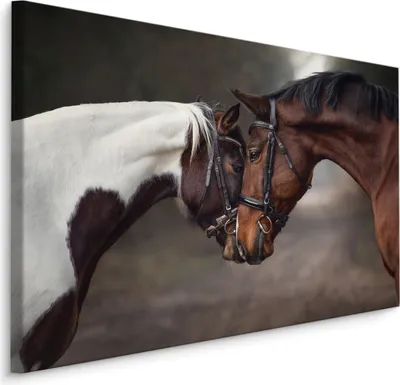 Produktbild von Fabelhafte Canvas LEINWAND BILDER 100x70 cm XXL Kunstdruck Tiere Pferde Wald Bäume
