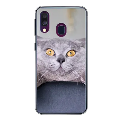 Produktbild von MuchoWow® Handyhülle Schutzhülle Hülle für Samsung Galaxy A40 Katze - Angst - Stuhl Silikon Softcase Handy Hülle - Handy-Tasche