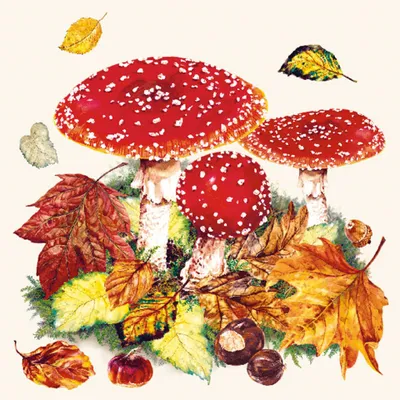 Image de Serviettes de table Lunch - Serviettes de table Lunch - Format : 33 x 33 cm - 3 plis - 20