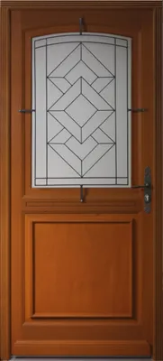 Image de Porte d'entree Bois vitree, Elma (elisa depoli) H215 x L90 p.Gauche + Poignée Et Barillet (ref010723NO)