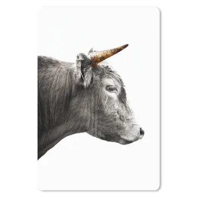 Produktbild von MuchoWow® Mauspad Mousepad Schottischer Highlander - Tiere - Kuh 40x60 cm - Mousepads - Maus Mat - Pad - Mausunterlage - Schreibtisch Accesoire