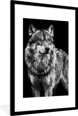 Produktbild von MuchoWow® Gerahmtes Poster Wolf - Tiere - Wild - Schwarz - Weiß 60x90 cm - Poster mit Schwarzem Bilderrahmen Wandposter Rahmen Foto Bilder - Dekoration - Wandposter Wohnzimmer - Hochwertig
