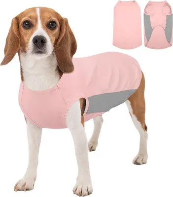 Produktbild von Famanu Kühlweste für Hunde - Atmungsaktiv und leicht - Für warme Tage