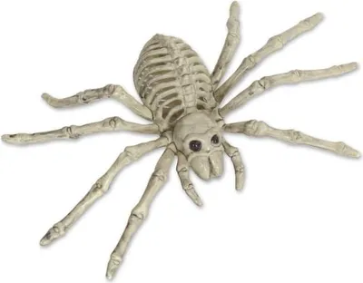 Produktbild von XXL Deko Skelett Spinne 25 x 15 cm Halloween Karneval Party Fasching