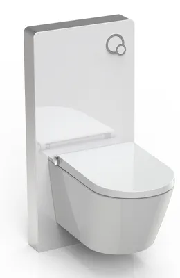 Produktbild von BERNSTEIN WC-Sparpaket 6: DUSCH-WC Basic 1102 mit Gesäß- und Ladydusche & Sanitärmodul 805 in Weiß