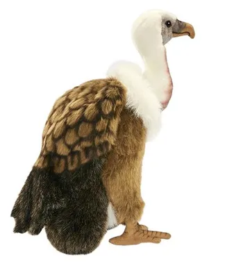 Produktbild von Plüsch Geier 30cm Stehend Greifvogel Realistisch Premium Deko Stofftier