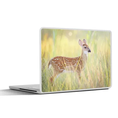 Produktbild von MuchoWow® Laptop Aufkleber Sticker Cover Hirsche - Gras - Tiere 32.5x23.5 cm - Sticker für Laptop - Selbstklebend