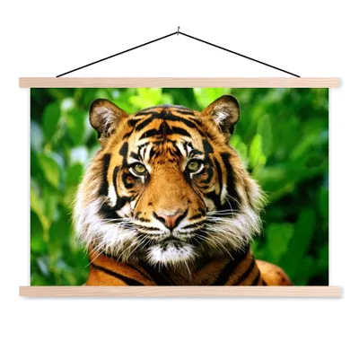 Produktbild von MuchoWow® Textilposter Tiger - Kopf - Wald 120x80 cm mit holzfarbenen Rahmen - Aufhängeset