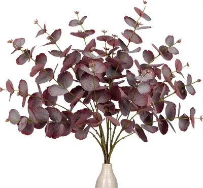 Image de set de 5 branches artificielles d'eucalyptus - Feuilles artificielles pour mariage et maison