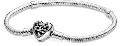 Obrázok produktu pre Pandora Náramok 598827C01-19