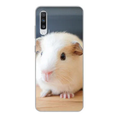 Produktbild von MuchoWow® Handyhülle Schutzhülle Hülle für Samsung Galaxy A70 Niedliches Baby-Meerschweinchen Silikon Softcase Handy Hülle - Schutzhaube