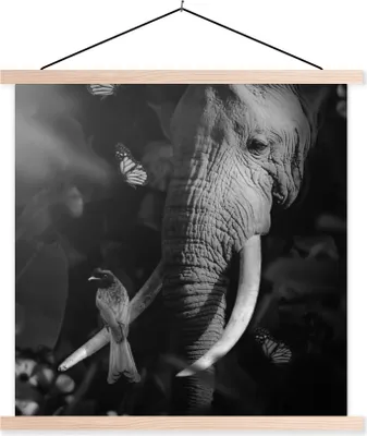 Produktbild von MuchoWow® Textilposter Vogel - Elefant - Dschungel - Schwarz - Weiß 120x120 cm mit holzfarbenen Rahmen - Textil-Poster
