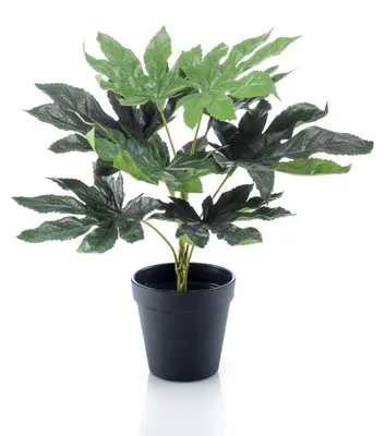Produktbild von Fatsia in Plastiktopf 30 cm/9 Blätter Kunstpflanze Emerald
