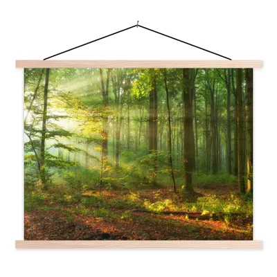 Produktbild von MuchoWow® Textilposter Sonne - Wald - Bäume - Natur - Herbst 60x45 cm mit holzfarbenen Rahmen - Bild