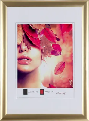 Produktbild von Moderner Bilderrahmen mit echtem Glas für wertvolle Erinnerungen Bilder Foto Rahmen mit abgerundetem Profil - Farbe: Gold | Format: 20x30