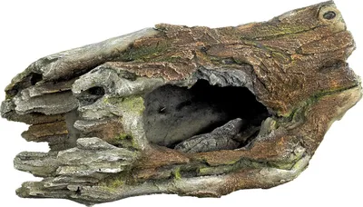 Immagine prodotto di Ornamenti ad acqua "TREIBHOLZ" 30,0 x 15,0 x 12,0 cm