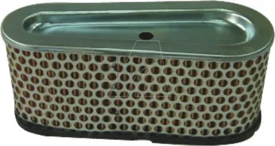 Image de Filtre à air compatible pour moteur Briggs & Stratton, remplace 496894S