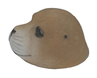 Produktbild von Deko Seehund Robbe Schwimmtier Teichfigur Maritim Garten Tier Figur Skulptur