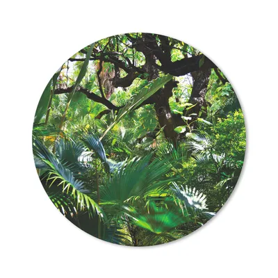 Produktbild von MuchoWow® Mauspad Mousepad Schöne Muster von Blättern und Bäumen in einem Regenwald 20x20 cm - Mousepads - Maus Mat - Pad - Mausunterlage - Schreibtischmatte