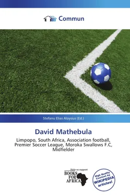 Produktbild von David Mathebula