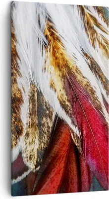 Produktbild von Bild auf Leinwand - Leinwandbild - Federn Federn Vogel - 45x80cm - Wand Bild - Wanddeko - Wandbilder - Leinwanddruck - Bilder - Kunstdruck - Wanddekoration - Leinwand bilder - Wandkunst - PA45x80-3743