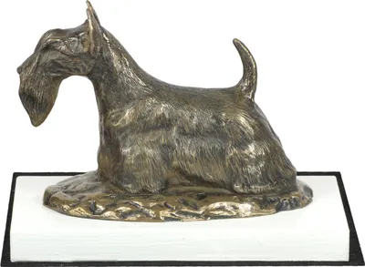 Image de Terrier écossais, Scottish terrier - statue de chien, figurine sur socle blanc, trophée pour l'exposition canine Art Dog.