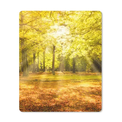 Produktbild von MuchoWow® Mauspad Mousepad Baum - Natur - Sonne - Landschaft - Wald 30x40 cm - Mousepads - Maus Mat - Pad - Mausunterlage - Mausmatten