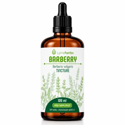 Produktbild von Berberitze Tinktur 1:2 (100ml), KI-generiertes Bild