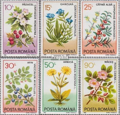 Produktbild von Briefmarken Rumänien 1993 Mi 4866-4871 (kompl.Ausg.) postfrisch Heilpflanzen