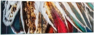 Produktbild von Bilder auf glas - Federn Federn Vogel - 160x50cm - Glasbilder - Wandbilder - Kunstdruck - zum Aufhängen bereit - Wanddekoration aus Glas - Glas Bilder - Wandbild auf Glas - Einteilig - GAB160x50-3743