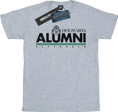 Produktbild von Harry Potter - "Hogwarts Slytherin" T-Shirt für Herren BI30097 (XXL) (Grau)