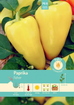 Produktbild von Paprika Feher | Paprikasamen von Carl Pabst