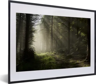 Produktbild von MuchoWow® MuchoWow® Gerahmtes Poster Wald - Baum - Nebel 40x30 cm - Poster mit zchwarzem Bilderrahmen - Bilderrahmen - Poster im Rahmen