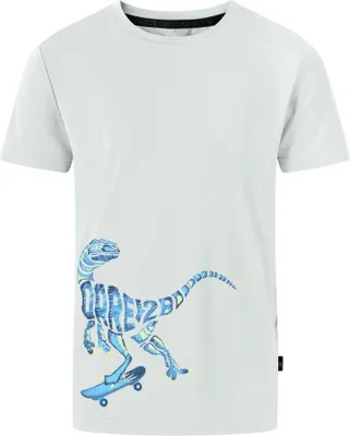 Zdjęcie produktu dla Dare2b Amuse II Tee Aqua Grey 14 lat