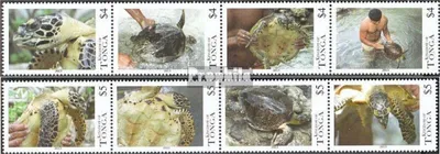 Produktbild von Briefmarken Tonga 2013 Mi 1860-1867 Viererstreifen (kompl.Ausg.) postfrisch Meeresschildkröten