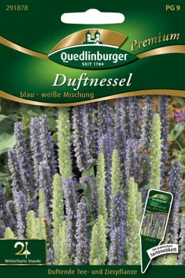 Produktbild von Duftnessel blau - weiße Mischung | Buntnesselsamen von Quedlinburger