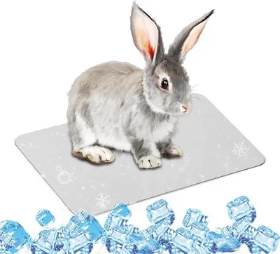 Produktbild von Kühlplatte für Haustiere – 30 x 20 cm. Sommerliches Kühlkissen für Meerschweinchen, Hamster und Kaninchen