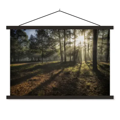 Produktbild von MuchoWow® Textilposter Wald - Sonne - Nebel 90x60 cm mit schwarzem Rahmen - Aufhängungssatz