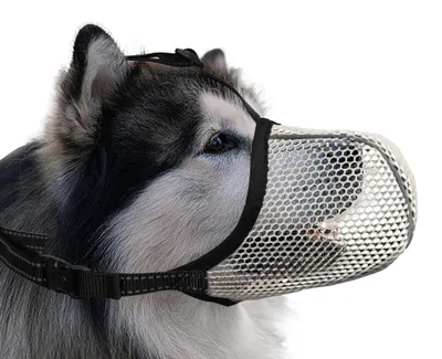 Produktbild von Maulkorb für große Hunde, um unerwünschtes Fressen zu verhindern