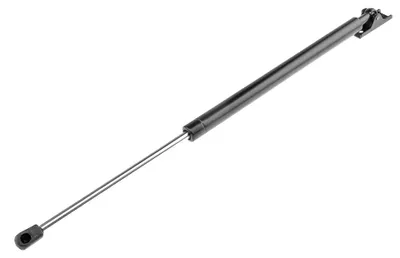 Produktbild von Nty Gasfederheckklappe 55076208Ab