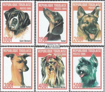 Produktbild von Briefmarken Togo 1999 Mi 2823-2828 (kompl.Ausg.) postfrisch Hunderassen